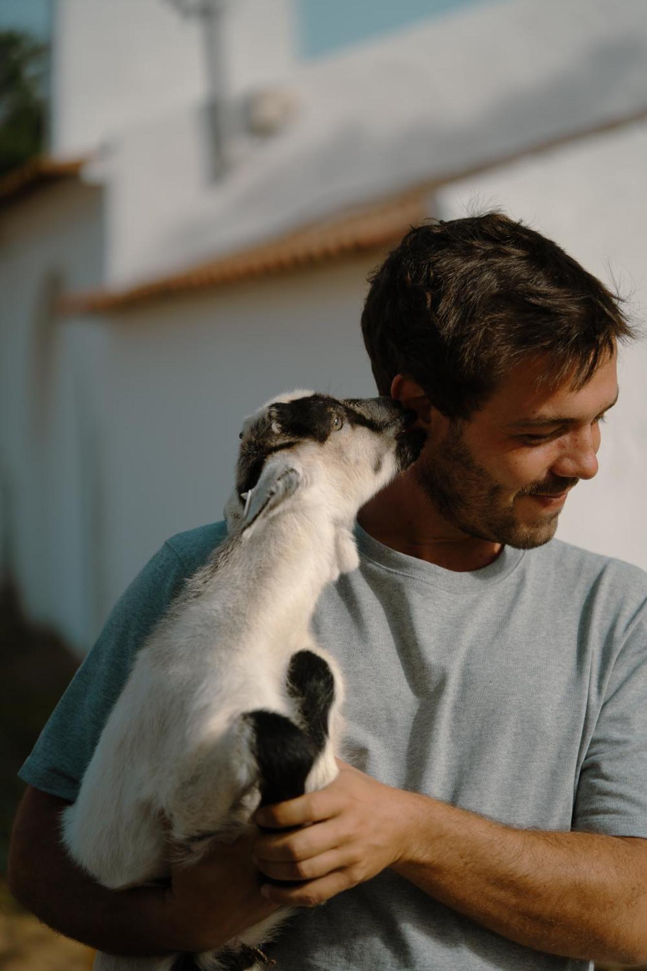 Herdade Vale De Cabras Portel Eksteriør billede